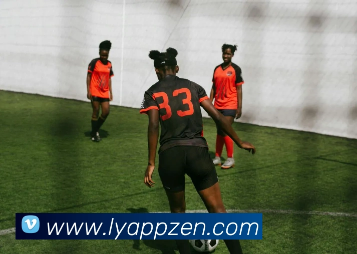 乐鱼APP品牌故事