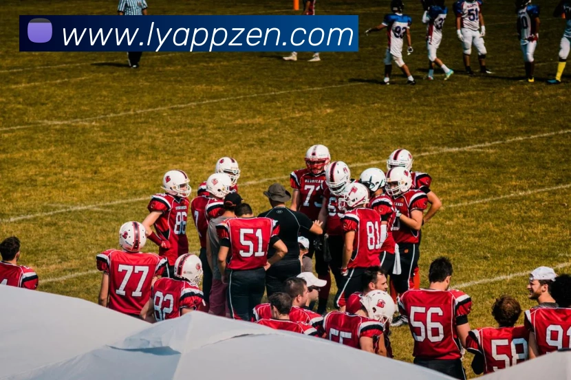 乐鱼APP服务体系